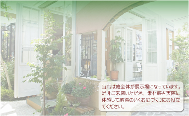 �{�茧�s��s�̊O�\�E�G�N�X�e���A�E��Â���̐��X�ł�